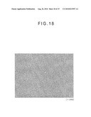 FIBER CROSS-LINKED BODY AND MANUFACTURING METHOD OF FIBER CROSS-LINKED BODY diagram and image