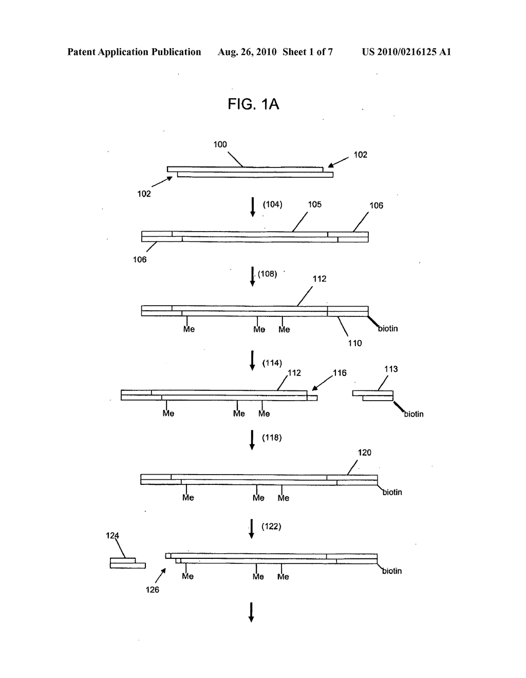 NUCLEIC ACID ANALYSIS USING SEQUENCE TOKENS - diagram, schematic, and image 02