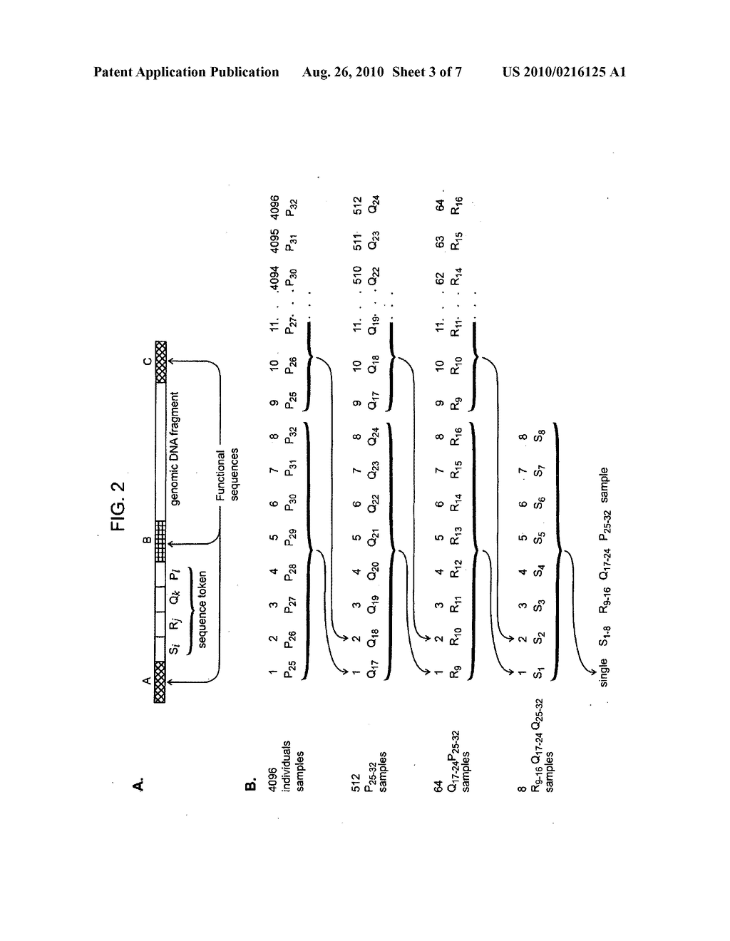 NUCLEIC ACID ANALYSIS USING SEQUENCE TOKENS - diagram, schematic, and image 04