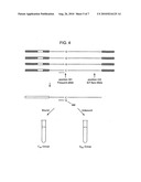 NUCLEIC ACID ANALYSIS USING SEQUENCE TOKENS diagram and image