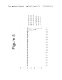 METHODS FOR DETECTING FETAL NUCLEIC ACIDS AND DIAGNOSING FETAL ABNORMALITIES diagram and image