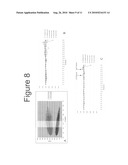 METHODS FOR DETECTING FETAL NUCLEIC ACIDS AND DIAGNOSING FETAL ABNORMALITIES diagram and image