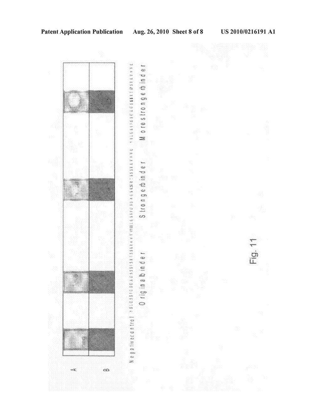 Method for Manufacturing a Modified Peptide - diagram, schematic, and image 09