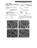 FIBROUS MATS CONTAINING CHITOSAN NANOFIBERS diagram and image