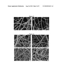 FIBROUS MATS CONTAINING CHITOSAN NANOFIBERS diagram and image