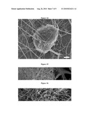 FIBROUS MATS CONTAINING CHITOSAN NANOFIBERS diagram and image