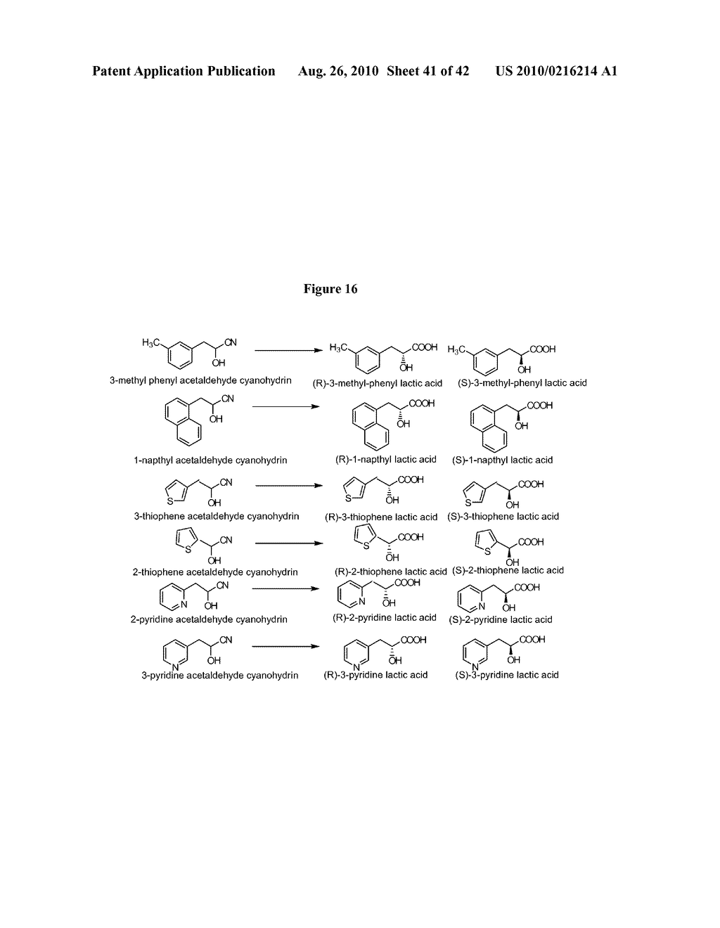 Nitrilases, Nucleic Acids Encoding Them and Methods for Making and Using Them - diagram, schematic, and image 42