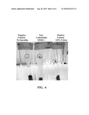 METHOD OF IN SITU BIOREMEDIATION OF HYDROCARBON-CONTAMINATED SITES USING AN ENRICHED ANAEROBIC STEADY STATE MICROBIAL CONSORTIUM diagram and image