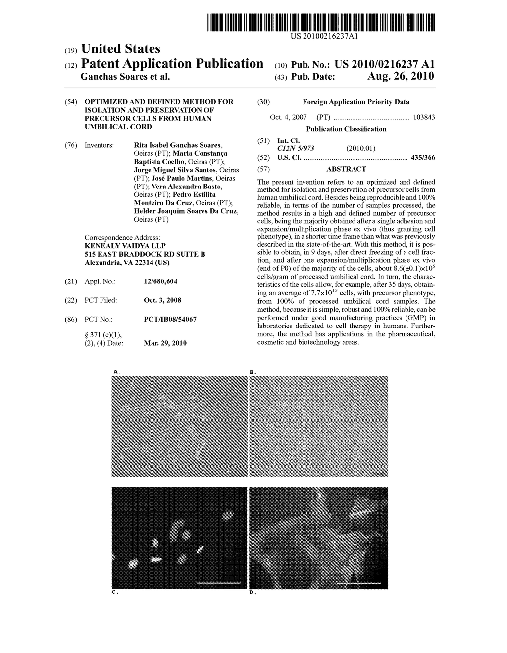 OPTIMIZED AND DEFINED METHOD FOR ISOLATION AND PRESERVATION OF PRECURSOR CELLS FROM HUMAN UMBILICAL CORD - diagram, schematic, and image 01