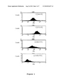 OPTIMIZED AND DEFINED METHOD FOR ISOLATION AND PRESERVATION OF PRECURSOR CELLS FROM HUMAN UMBILICAL CORD diagram and image