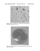 NON-INVASIVE AUTOMATED CELL PROLIFERATION APPARATUS diagram and image