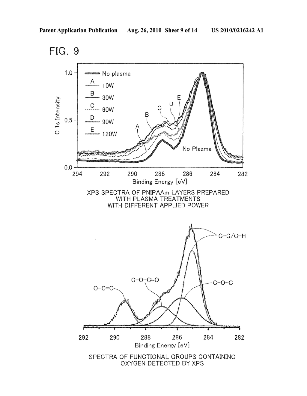 Cell culture support and production method and uses thereof - diagram, schematic, and image 10