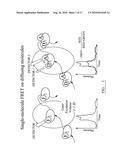 DNA-Based Biosensors diagram and image