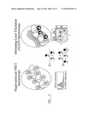 DNA-Based Biosensors diagram and image