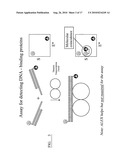 DNA-Based Biosensors diagram and image