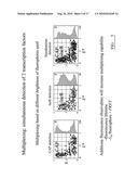 DNA-Based Biosensors diagram and image