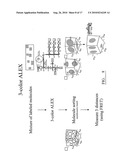 DNA-Based Biosensors diagram and image