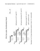 DNA-Based Biosensors diagram and image