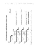 DNA-Based Biosensors diagram and image