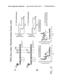 DNA-Based Biosensors diagram and image