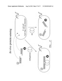 DNA-Based Biosensors diagram and image