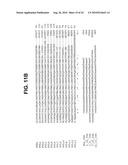 CONTROL OF PLANT STRESS TOLERANCE, WATER USE EFFICIENCY AND GENE EXPRESSION USING NOVEL ABA RECEPTOR PROTEINS AND SYNTHETIC AGONISTS diagram and image