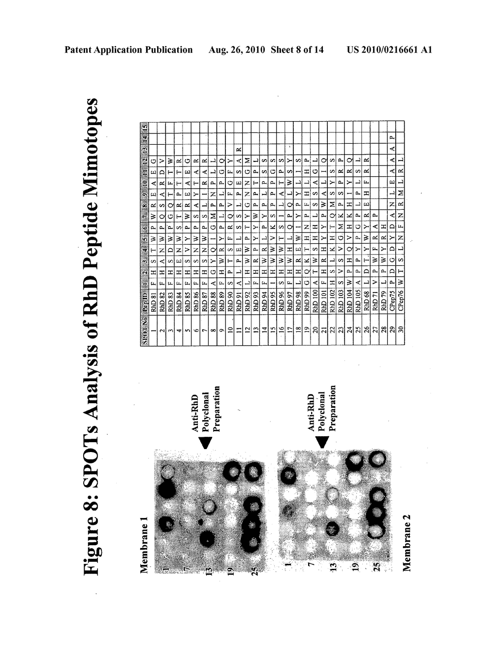 Diagnostic Assay - diagram, schematic, and image 09