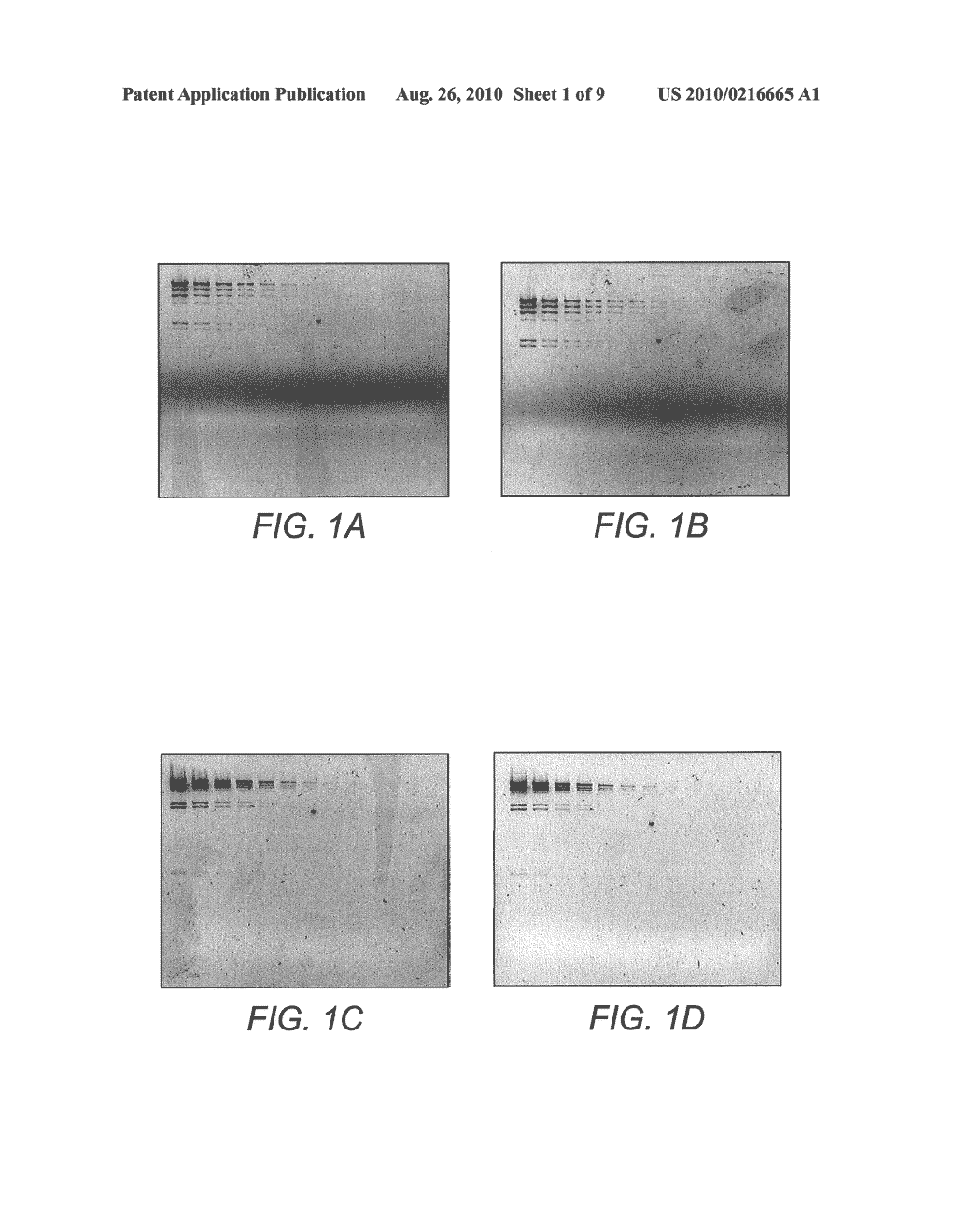 DETECTION OF IMMOBILIZED NUCLEIC ACID - diagram, schematic, and image 02