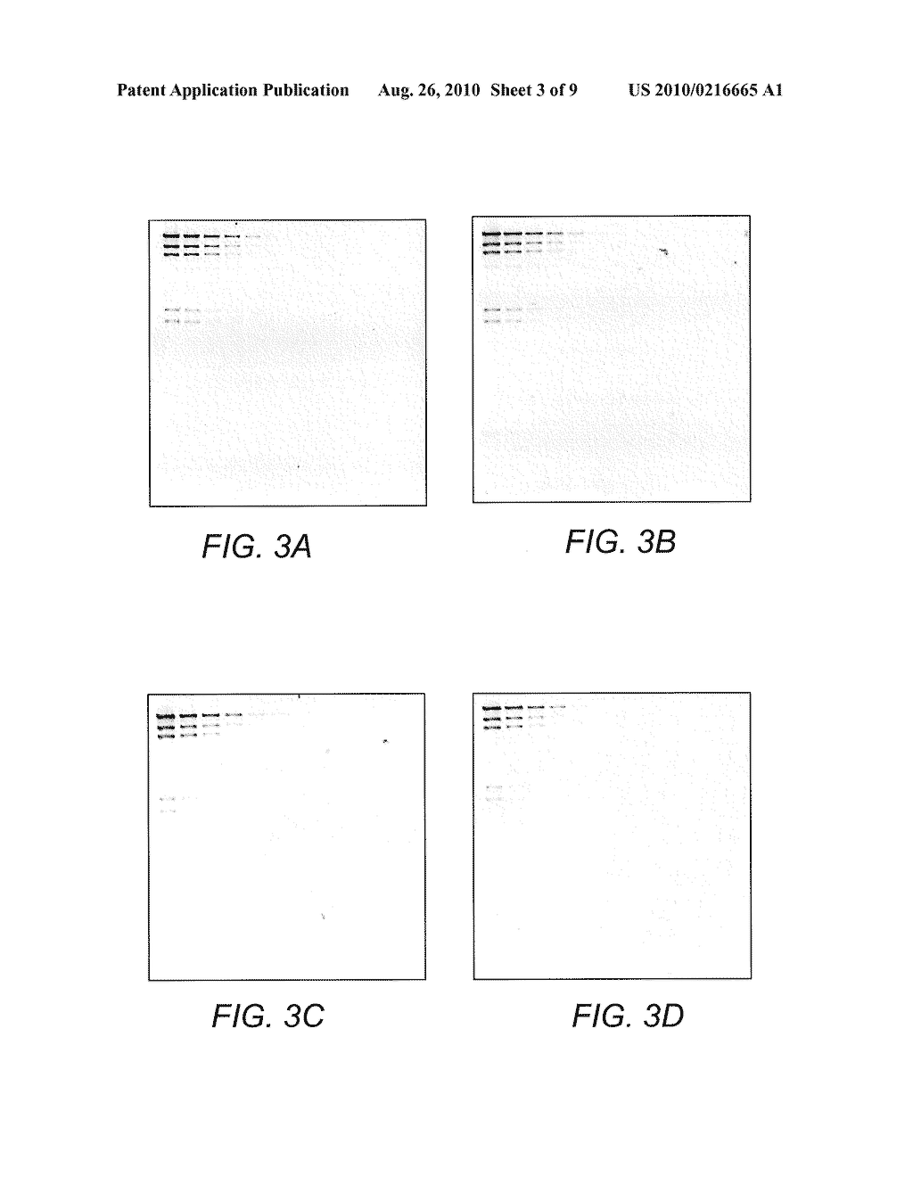 DETECTION OF IMMOBILIZED NUCLEIC ACID - diagram, schematic, and image 04