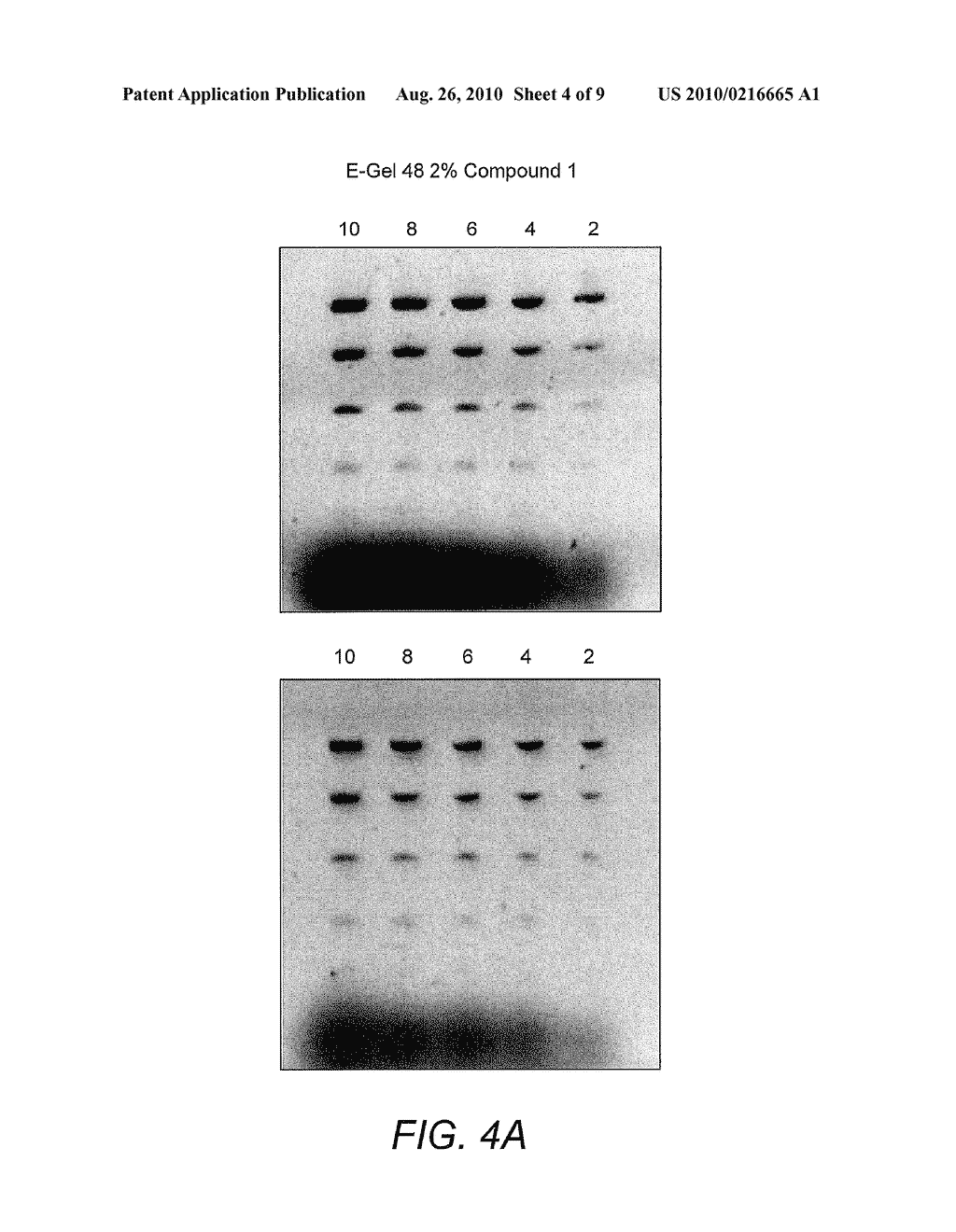 DETECTION OF IMMOBILIZED NUCLEIC ACID - diagram, schematic, and image 05