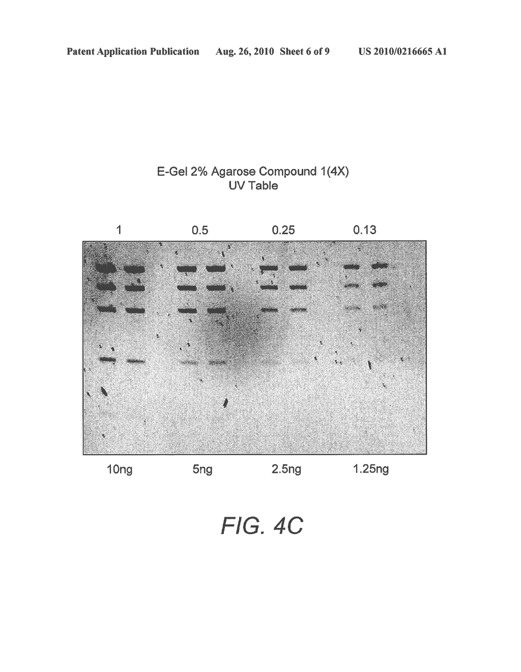 DETECTION OF IMMOBILIZED NUCLEIC ACID - diagram, schematic, and image 07