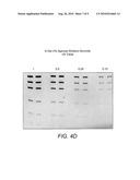 DETECTION OF IMMOBILIZED NUCLEIC ACID diagram and image