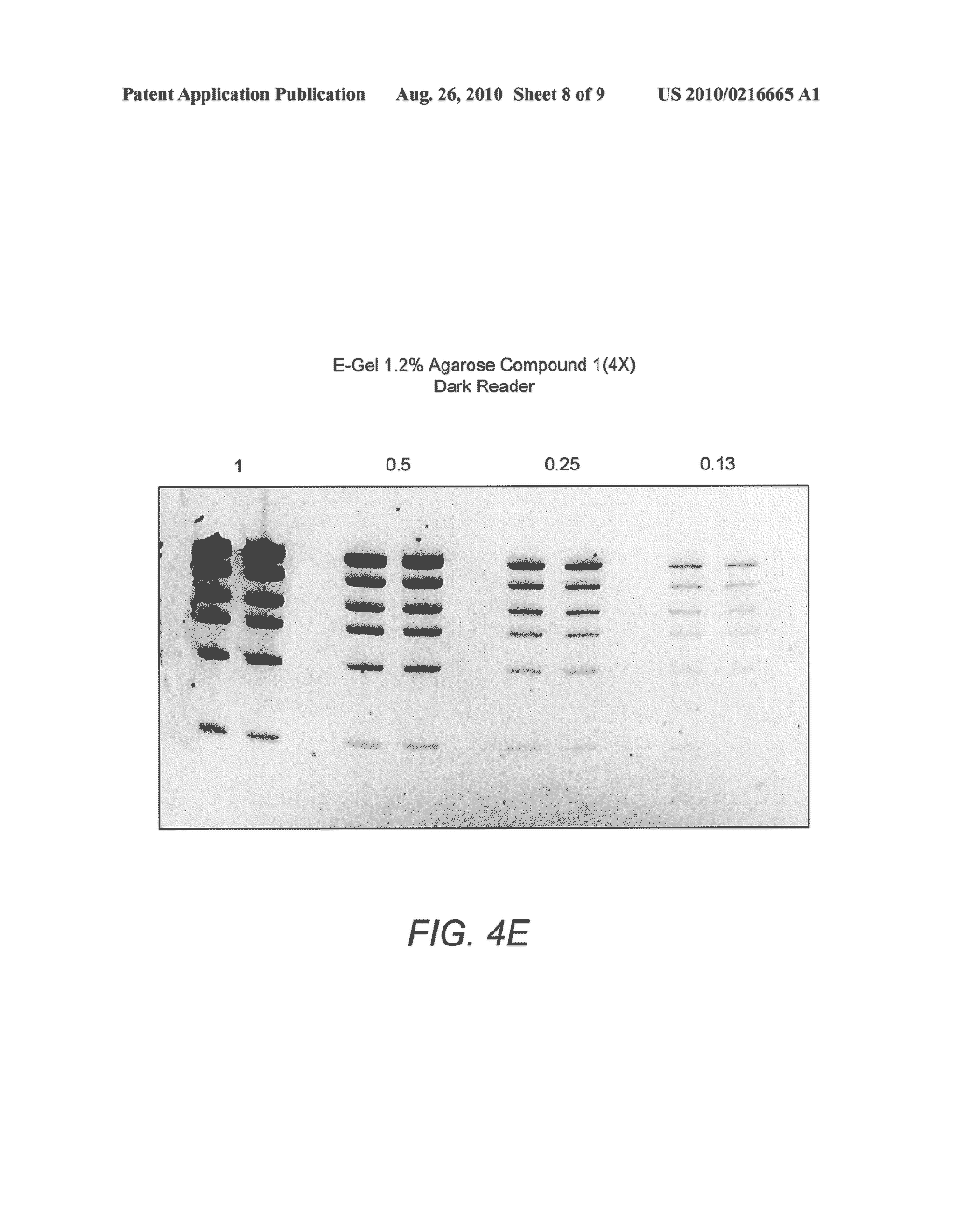 DETECTION OF IMMOBILIZED NUCLEIC ACID - diagram, schematic, and image 09