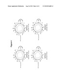 PEPTIDOMIMETIC MACROCYCLES diagram and image