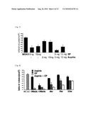 Combination Therapy for Neuroprotection diagram and image