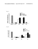 Combination Therapy for Neuroprotection diagram and image