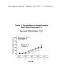 MODULATION OF NEUROGENESIS USING D-CYCLOSERINE COMBINATIONS diagram and image