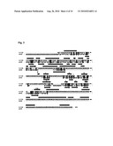  Method for Assaying FTO (2-Oxoglutarate Dependent Oxygenase) Activity diagram and image