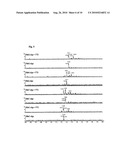  Method for Assaying FTO (2-Oxoglutarate Dependent Oxygenase) Activity diagram and image