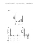  Method for Assaying FTO (2-Oxoglutarate Dependent Oxygenase) Activity diagram and image