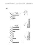  Method for Assaying FTO (2-Oxoglutarate Dependent Oxygenase) Activity diagram and image