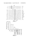 Methods and Compositions for Modulating P300/CBP Activity diagram and image