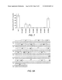 Methods and Compositions for Modulating P300/CBP Activity diagram and image