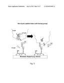 IMMOBILISATION OF POLYPEPTIDES BY IRRADIATION diagram and image