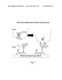 IMMOBILISATION OF POLYPEPTIDES BY IRRADIATION diagram and image