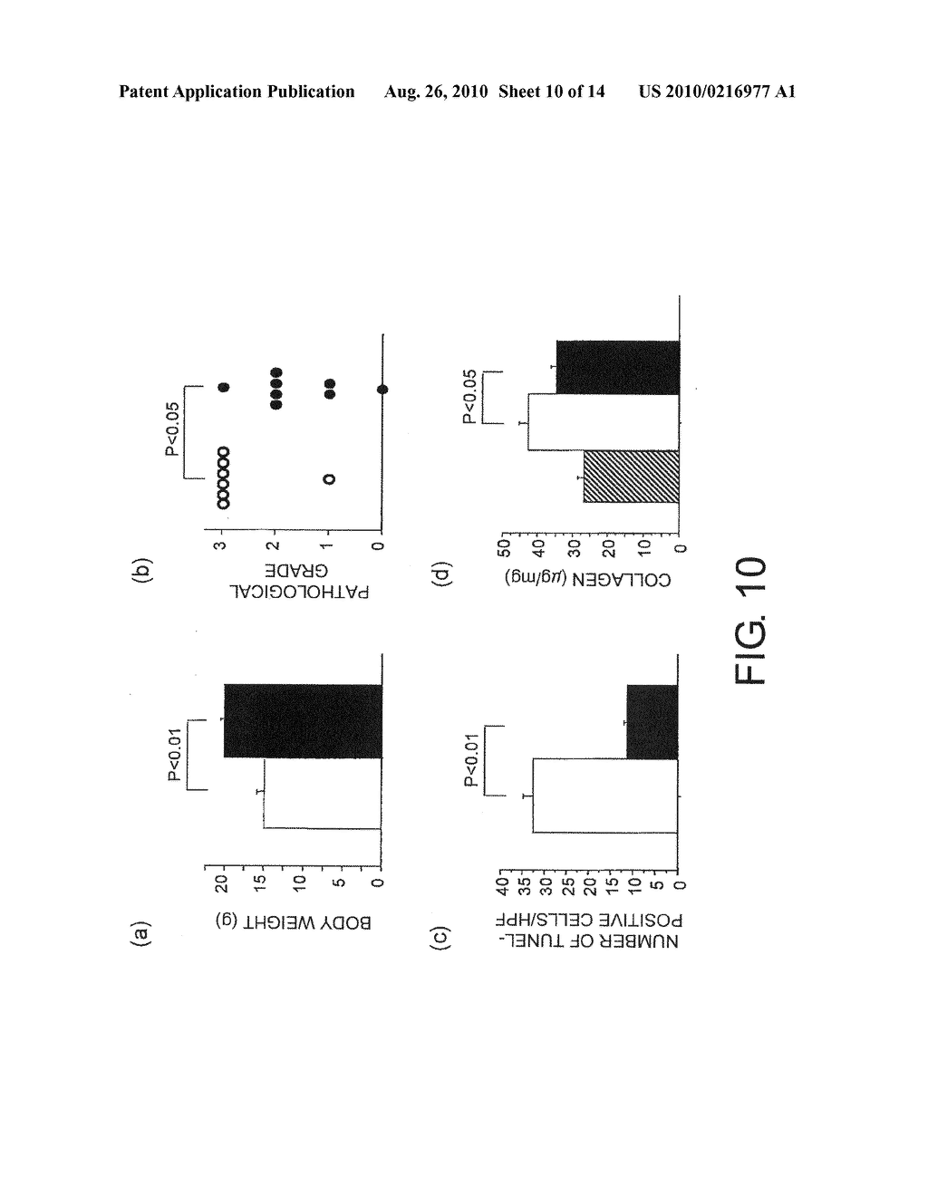 THERAPEUTIC AGENT FOR INTERSTITIAL PULMONARY DISEASE COMPRISING ANTI-HMGB-1 ANTIBODY - diagram, schematic, and image 11