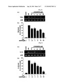 1,2,3,4-TETRAHYDROISOQUINOLINE DERIVATIVES HAVING EFFECTS OF PREVENTING AND TREATING DEGENERATIVE AND INFLAMMATORY DISEASES diagram and image