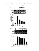 1,2,3,4-TETRAHYDROISOQUINOLINE DERIVATIVES HAVING EFFECTS OF PREVENTING AND TREATING DEGENERATIVE AND INFLAMMATORY DISEASES diagram and image