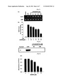 1,2,3,4-TETRAHYDROISOQUINOLINE DERIVATIVES HAVING EFFECTS OF PREVENTING AND TREATING DEGENERATIVE AND INFLAMMATORY DISEASES diagram and image