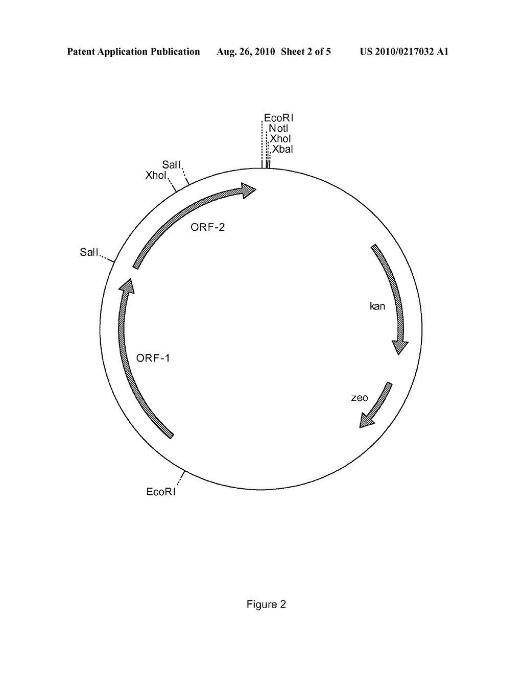 PROCESS FOR PREPARING PRAVASTATIN - diagram, schematic, and image 03